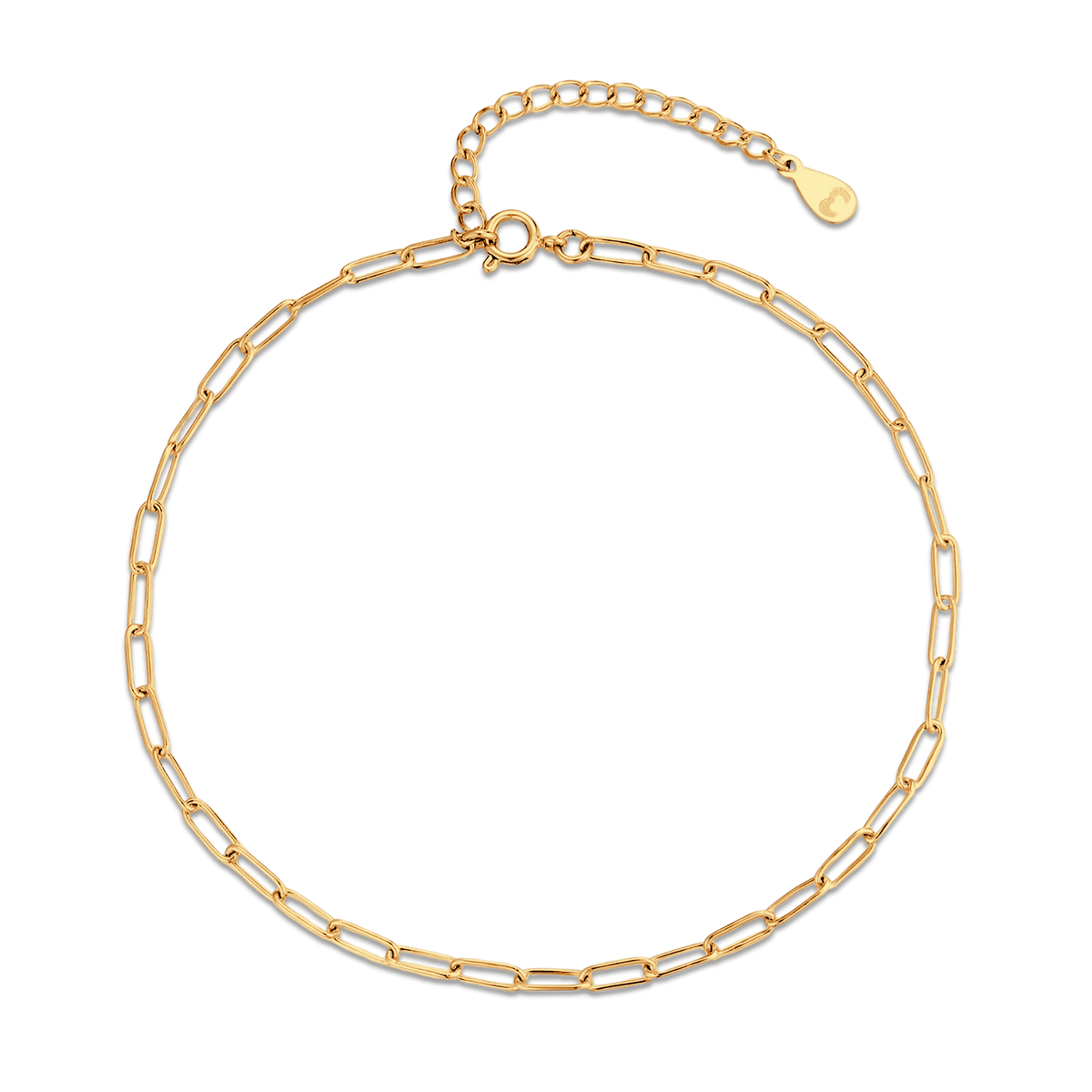 Fine Link Anklet