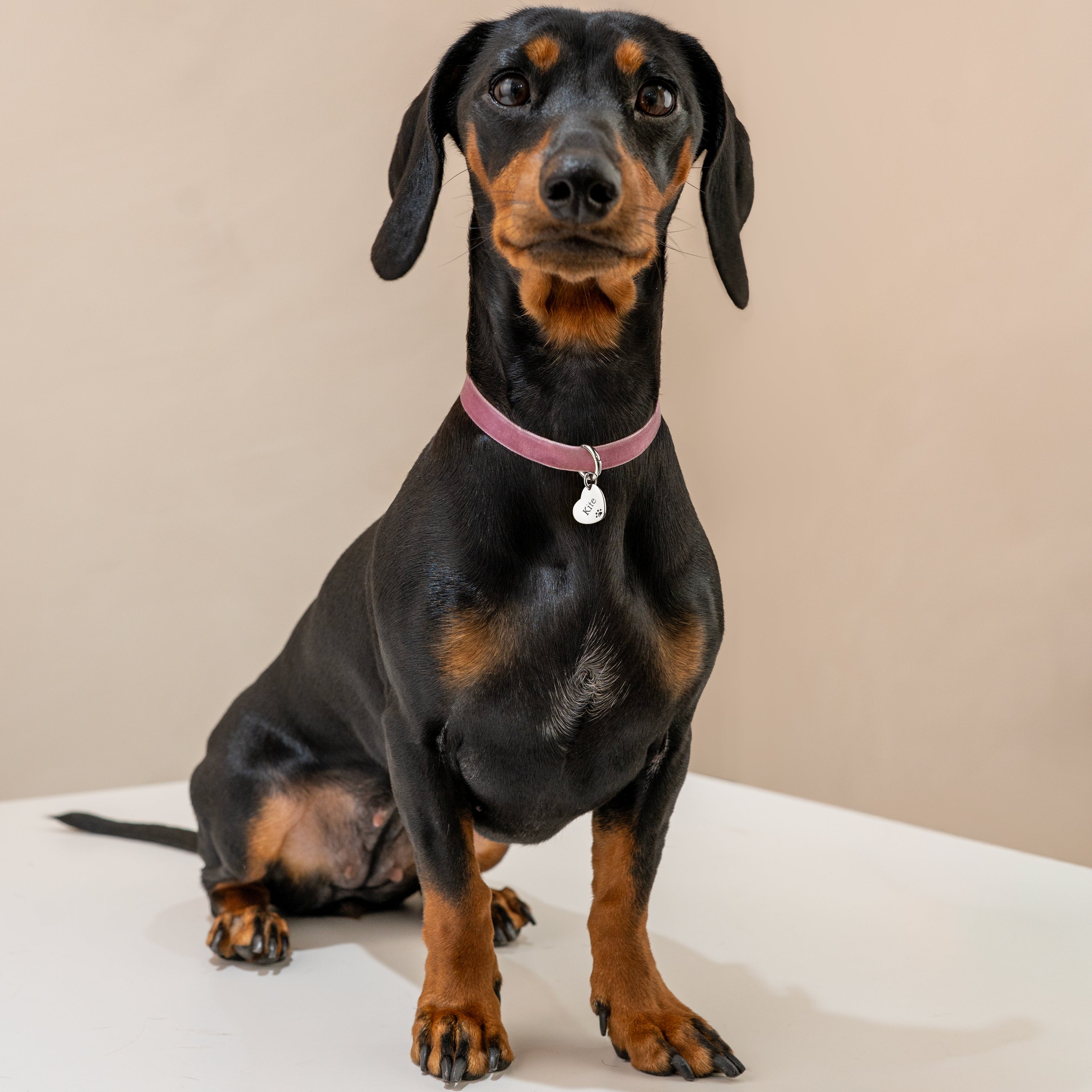 Pet Love Necklace - Personalized - Milas Jewels Shop