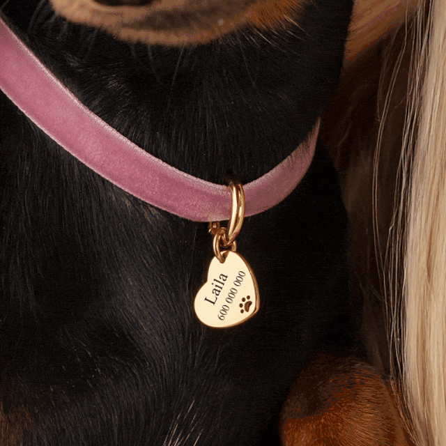 Pet Love Necklace - Personalized