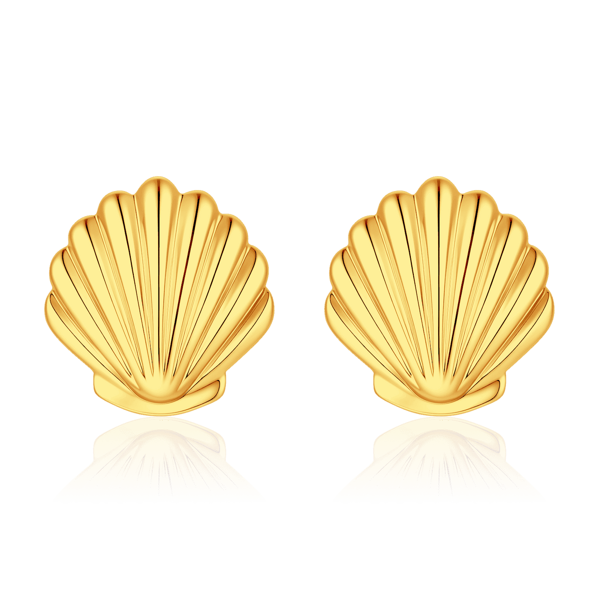 Sea Shell Earrings