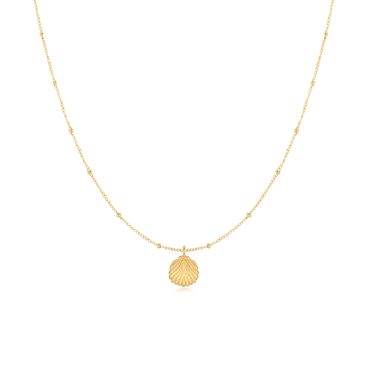 Seashell Necklace