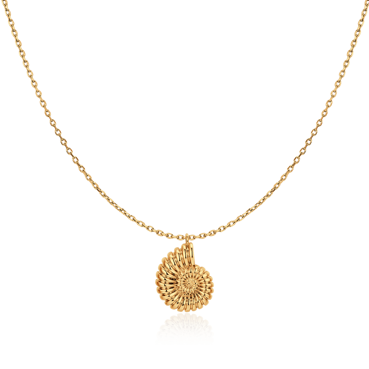 Nautilus Shell Necklace - Milas Jewels Shop