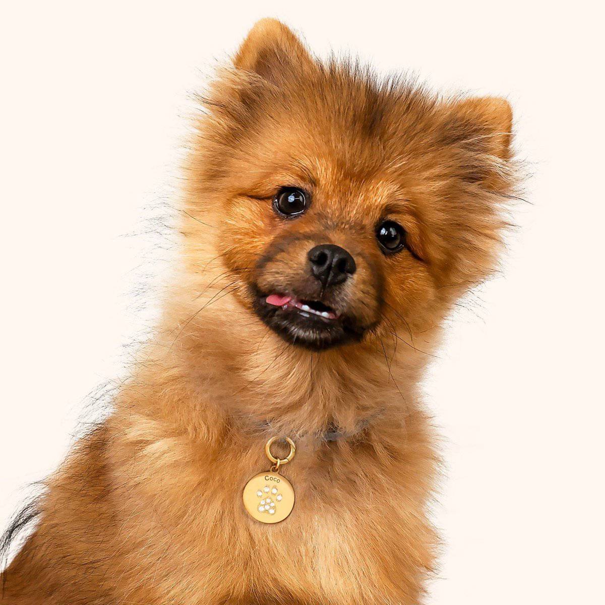 "Pet" Pendant - Milas Jewels Shop