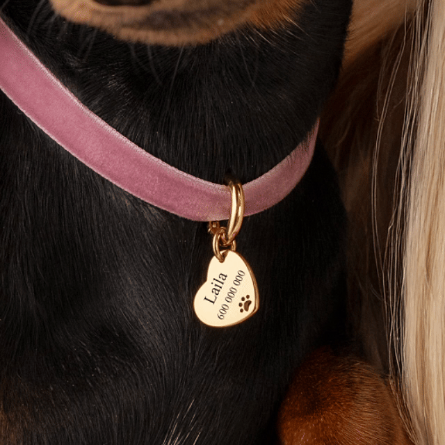 Pet Love Necklace - Personalized - Milas Jewels Shop