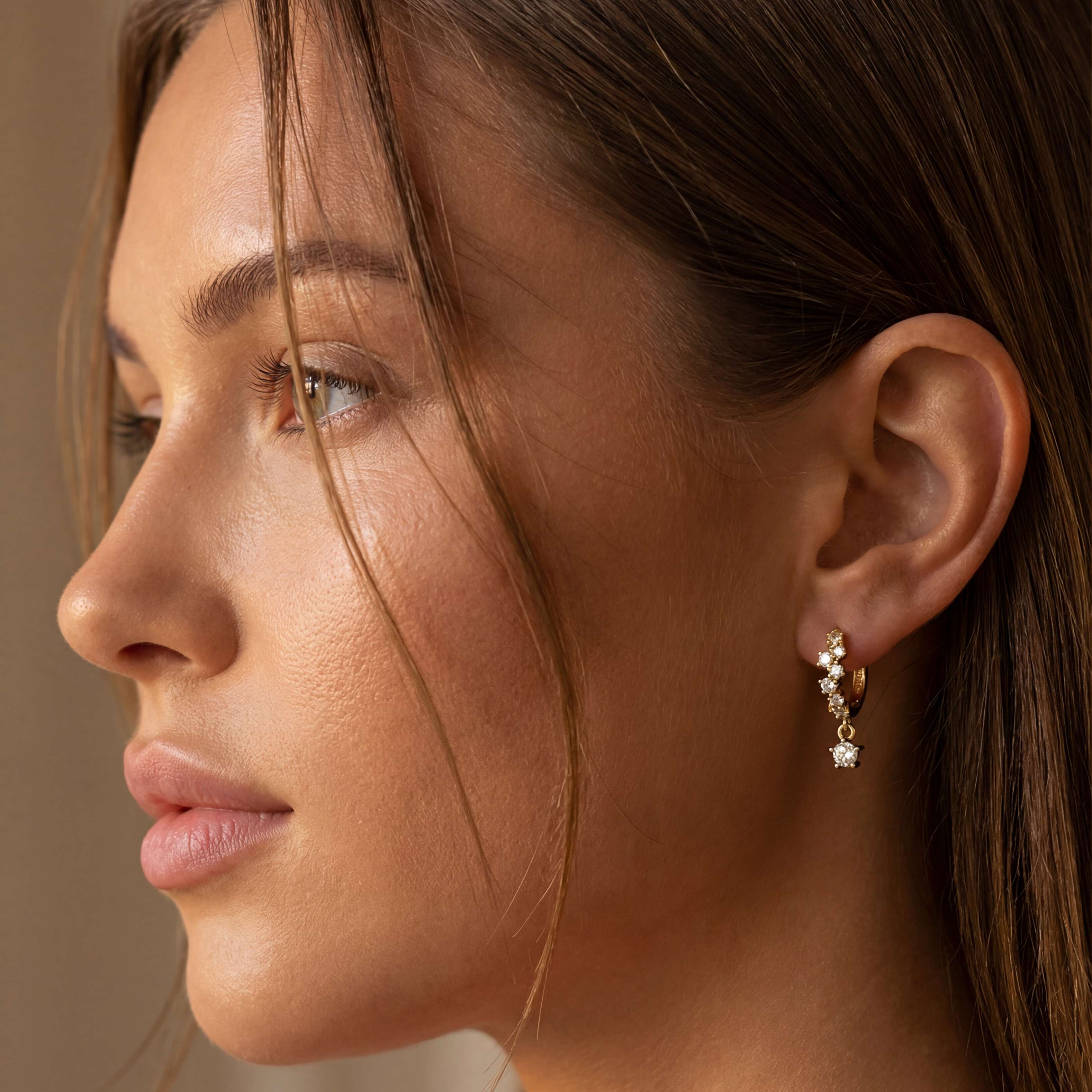 Adamantine Hoop Earrings