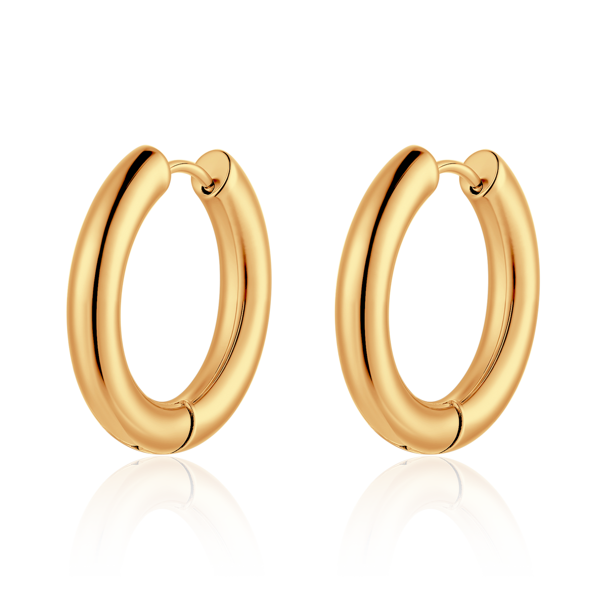 Essence Hoops Earrings