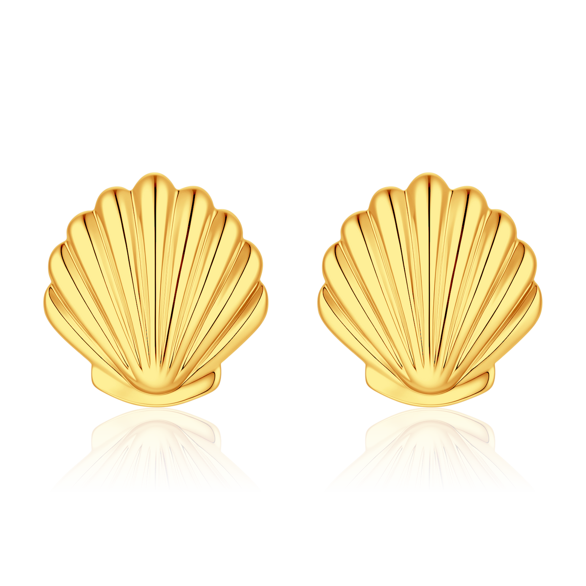 Sea Shell Earrings