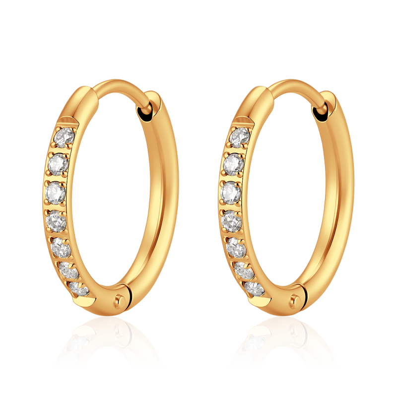 Shimmering Hoop Earrings