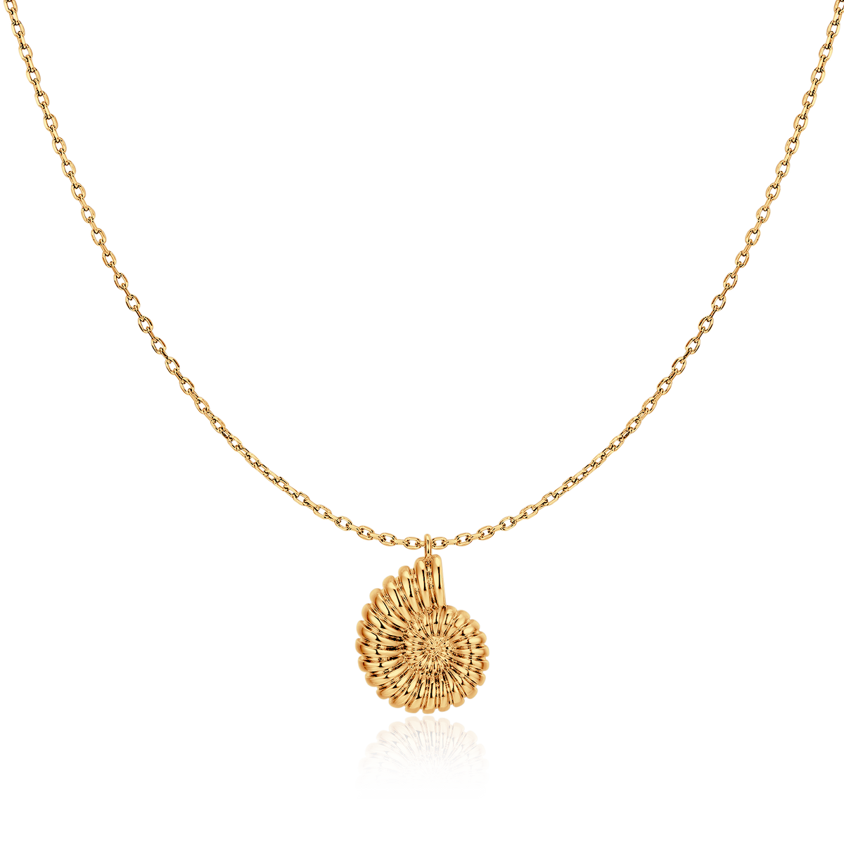 Nautilus Shell Necklace - Milas Jewels Shop