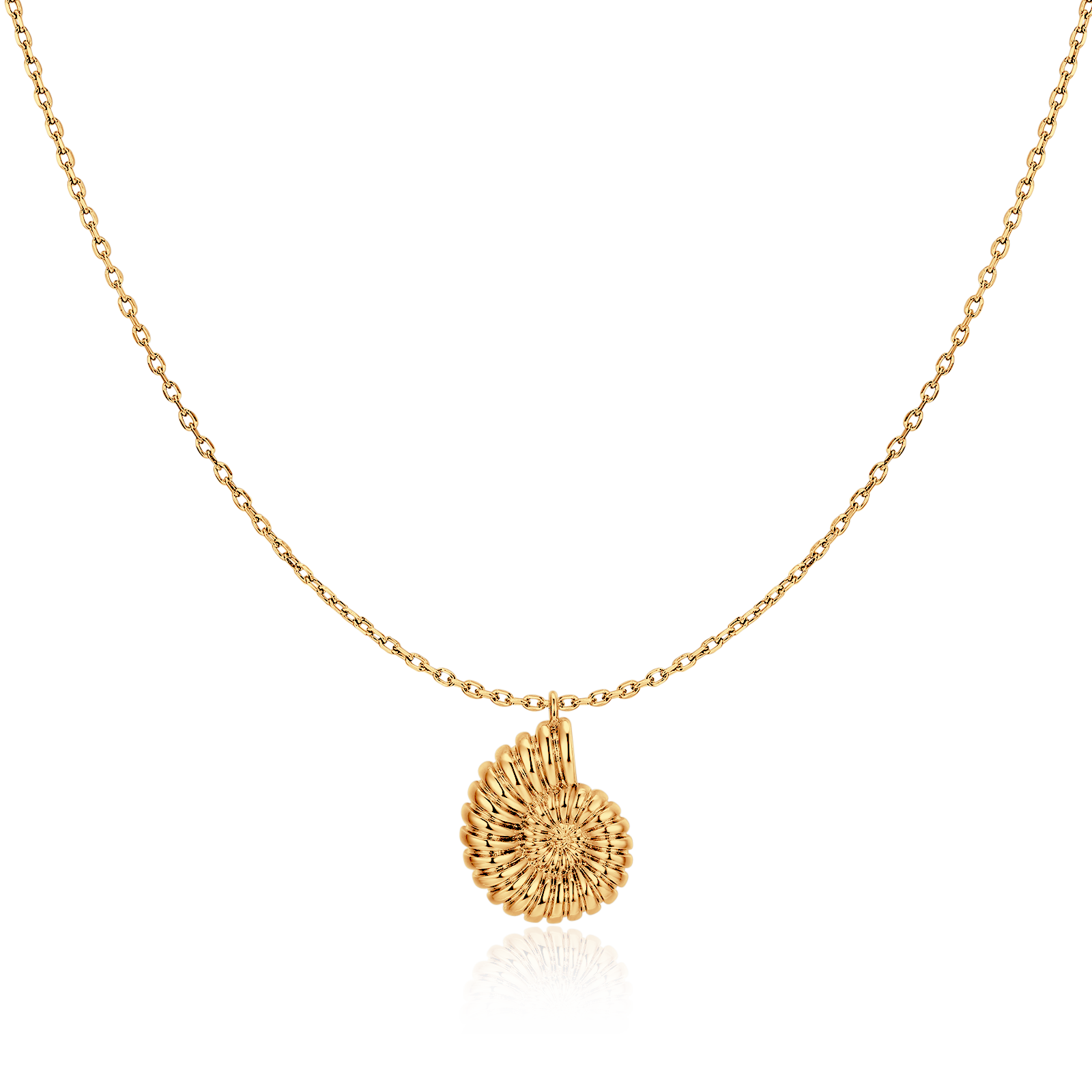 Nautilus Shell Necklace