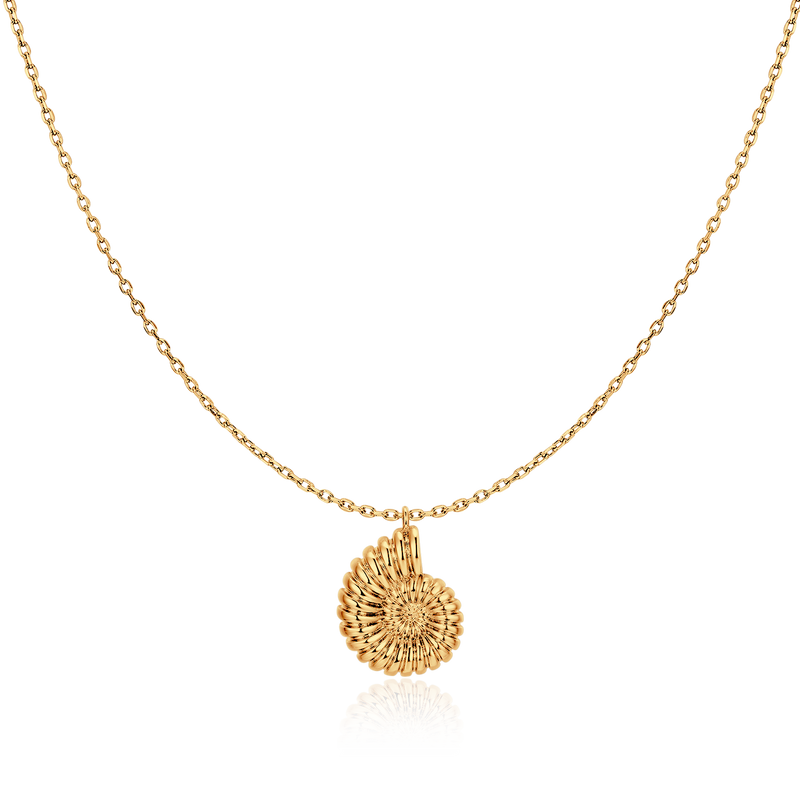Nautilus Shell Necklace - Milas Jewels Shop