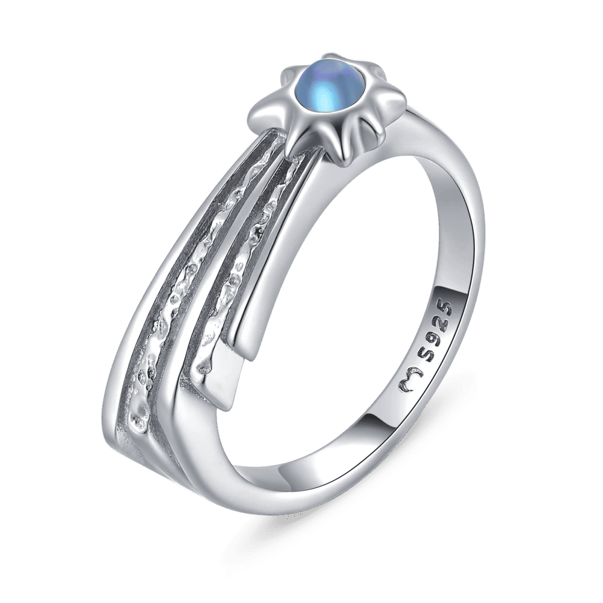 Halley's Ring