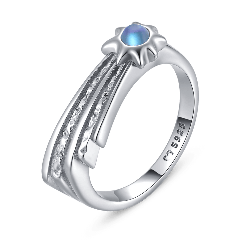 Halley's Ring